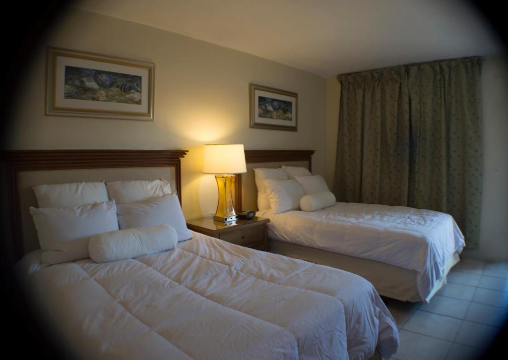 Downtown Hollywood Gardens Inn & Suites Bagian luar foto